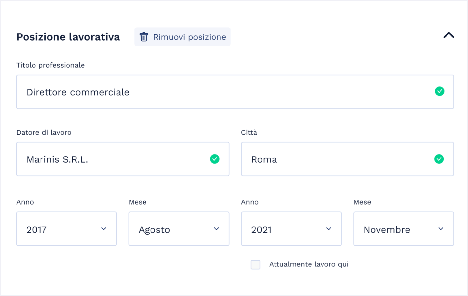 Modulo esperienza di curriculum vitae